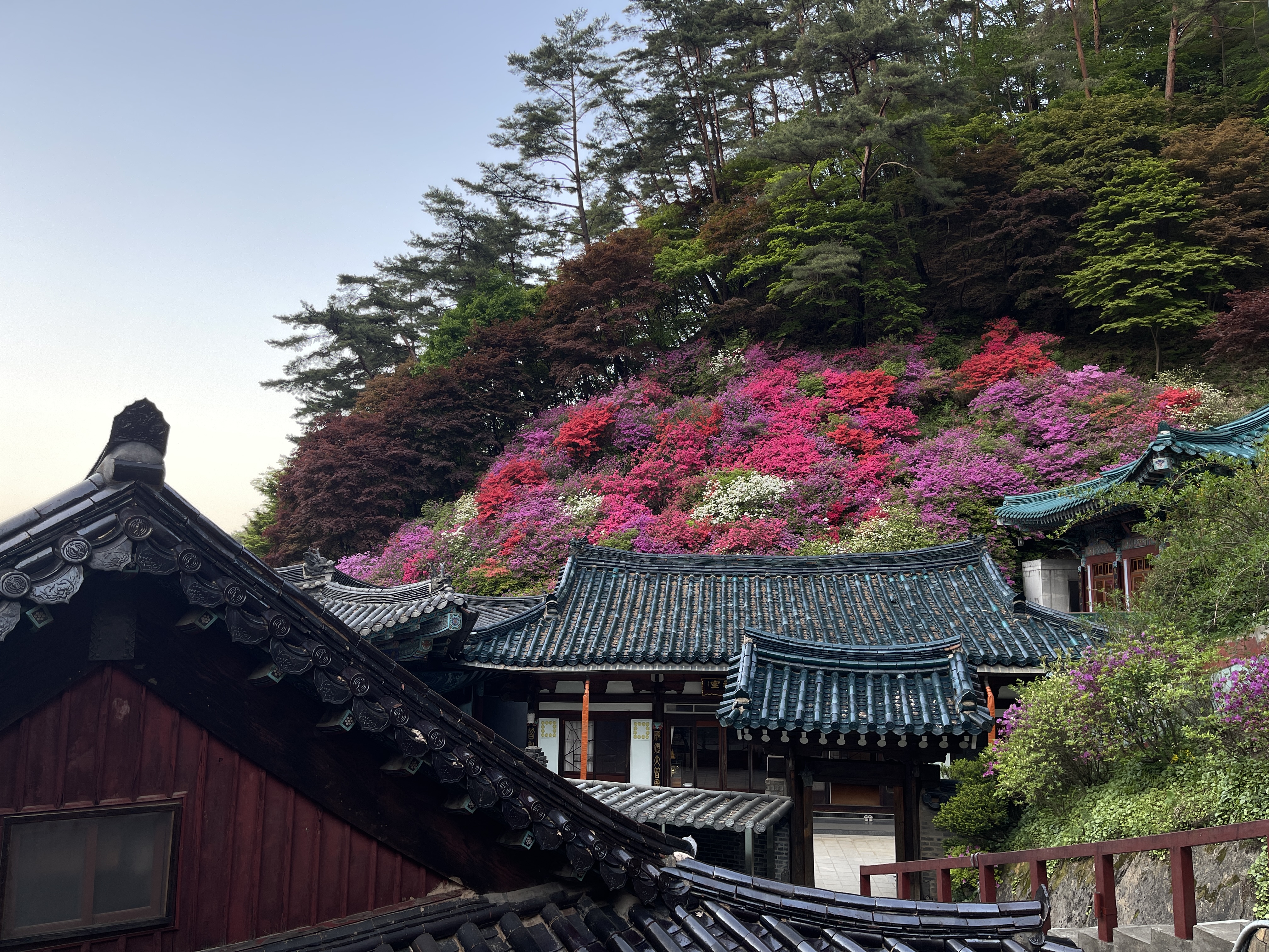 Looking over Guinsa Temple, where I learned more about Buddhist practices in Korea during an overnight stay at the temple (photo: Ryenne Wen)