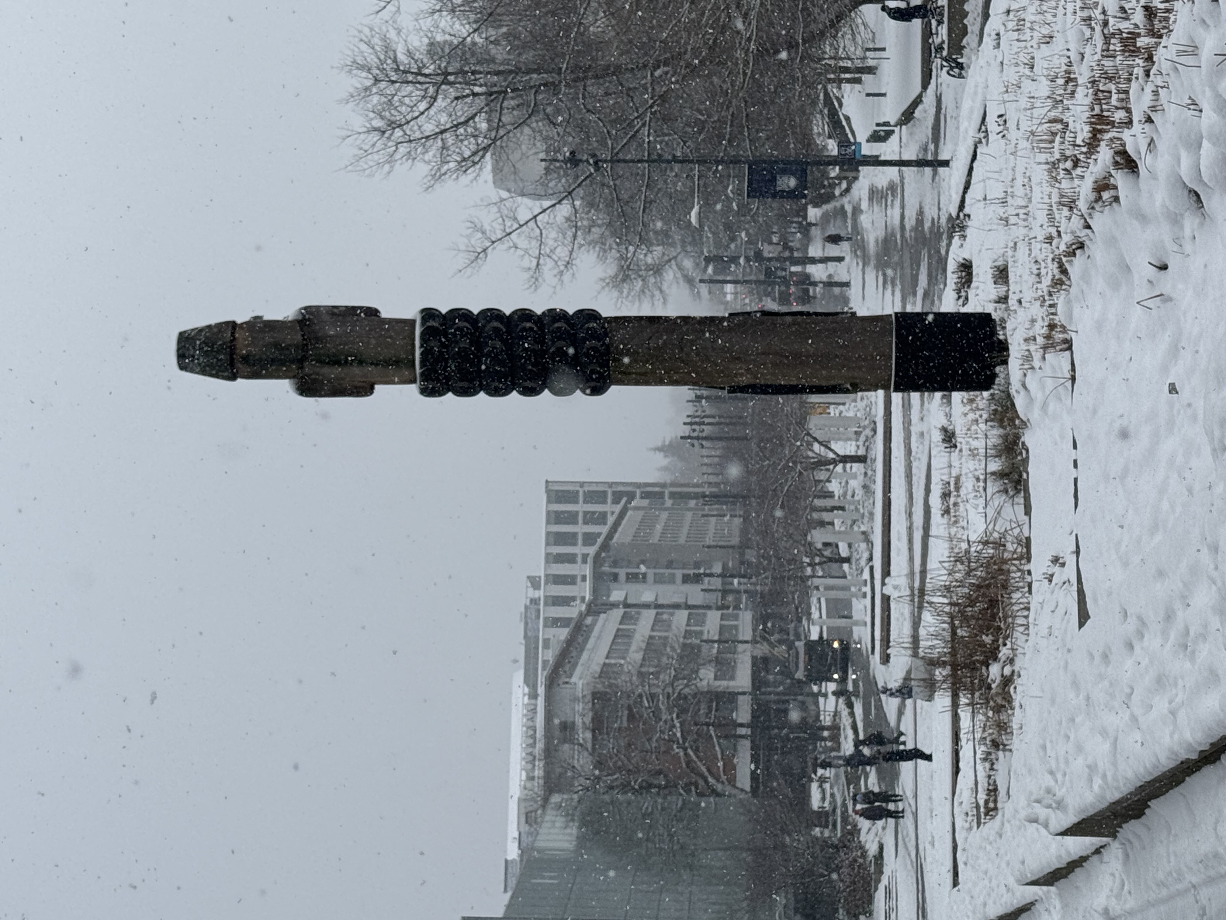 Musqueam sʔi:ɬqəy̓ qeqən (double-headed serpent post): The Musqueam Post in front of The Nest on the UBC Vancouver campus