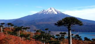 Chile Field School