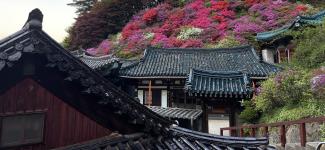 Looking over Guinsa Temple, where I learned more about Buddhist practices in Korea during an overnight stay at the temple (photo: Ryenne Wen)