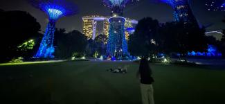 Gardens by the Bay (photo: Valarmathi Vishnu)
