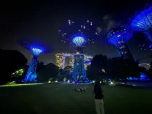 Gardens by the Bay (photo: Valarmathi Vishnu)