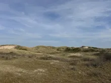 North Holland Dune Reserve, The Netherlands (taken by Jaime Morgan)